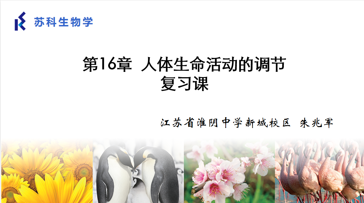 课程内容