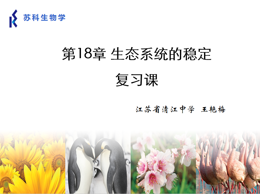 课程内容
