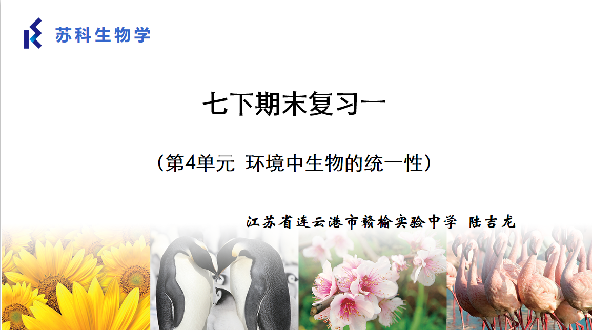 课程内容