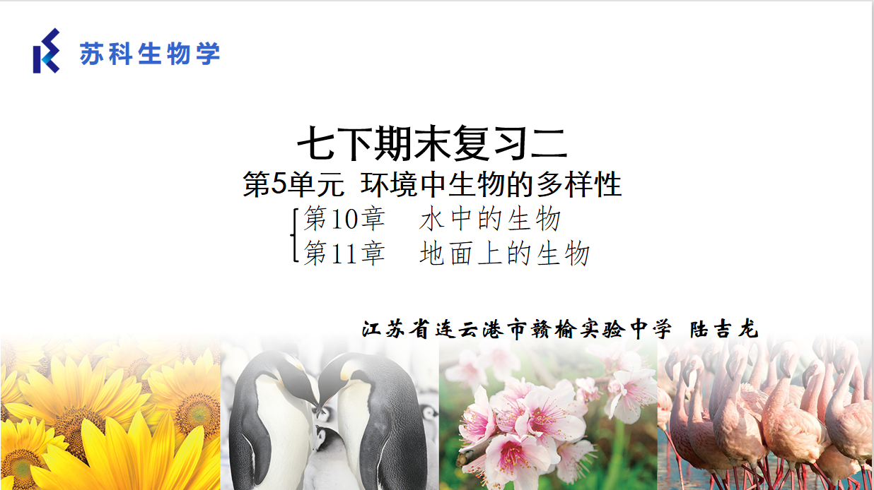 课程内容
