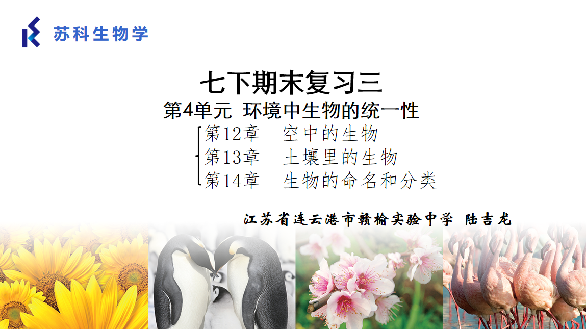 课程内容