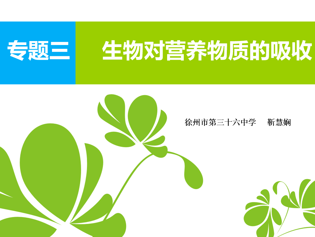 课程内容
