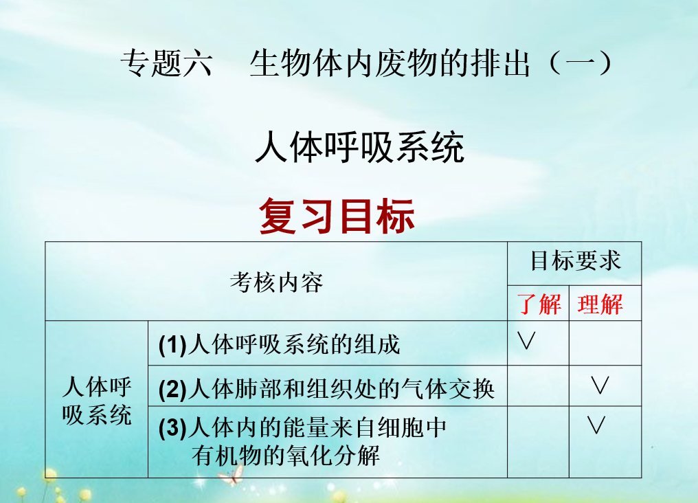 课程内容
