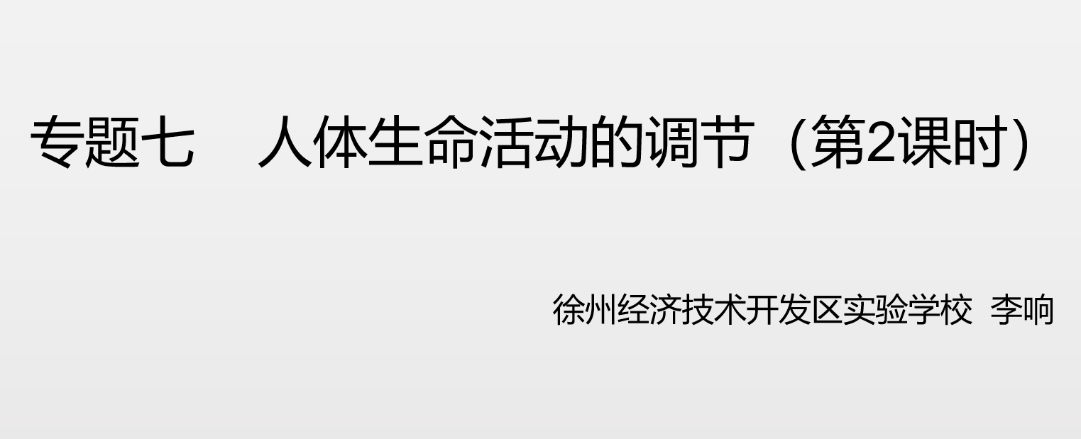 课程内容