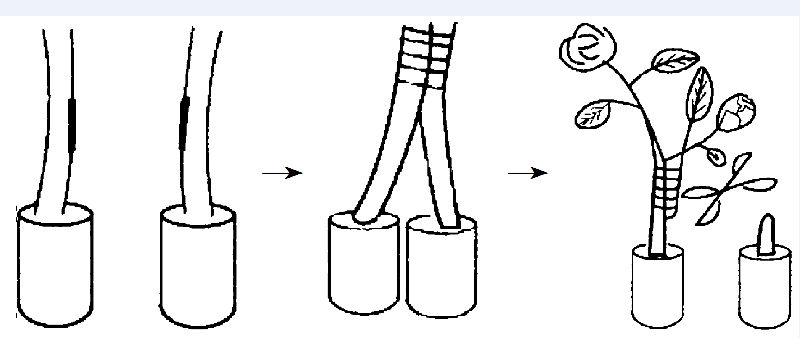 5c789423f36a0.png